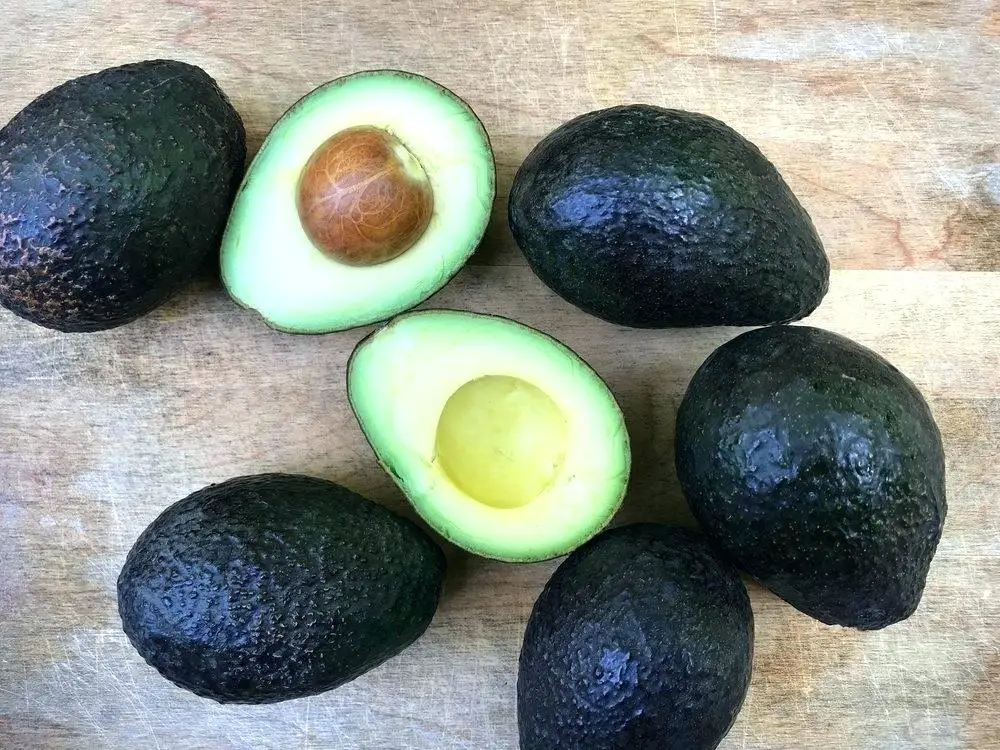 Свежий авокадо/авокадо Hass, авокадо Fuerte из Мексики