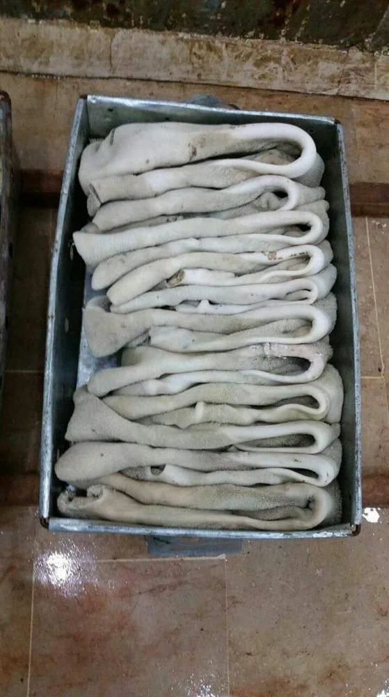 For Sell Beef Tripe Beef Green Tripe from Pakistan