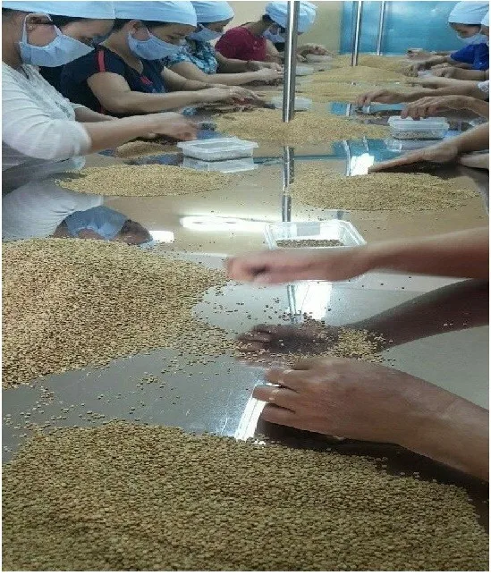 ORGANIC BEE POLLEN 2020/Whatsapp +84 845 639 639