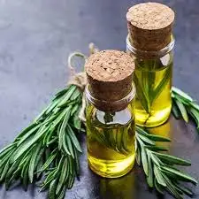 High Quality Rosemary Oil Manufacturer from India