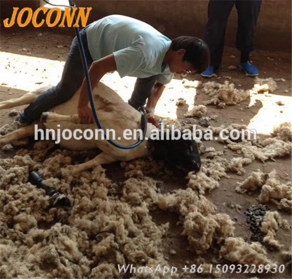 factory price Sheep wool cutting machine price of flexible shaft electric sheep shearing machine for sale