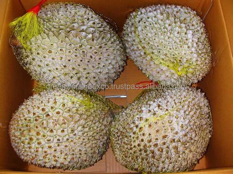 
IQF FROZEN ORGANIC DURIAN FOR SALE - HIGH QUALITY - VIETNAM 