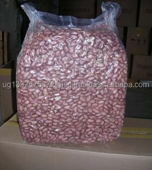 Red Peanut,blanched Peanut Kernels,Bold PeanutsBlanched Peanuts Java Peanuts/ Raw
