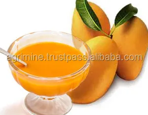 High Quality Totapuri Mango Pulp