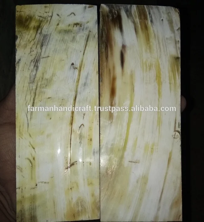 Best Quality of Cow White Horn Plates