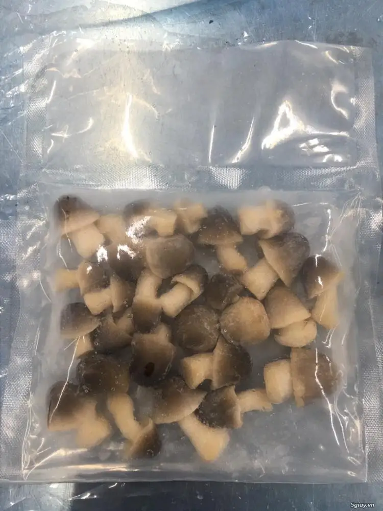 
TOP QUALITY! OFFER VIETNAMESE FROZEN STRAW MUSHROOM WITH HIGH QUALITY AND BEST PRICE 