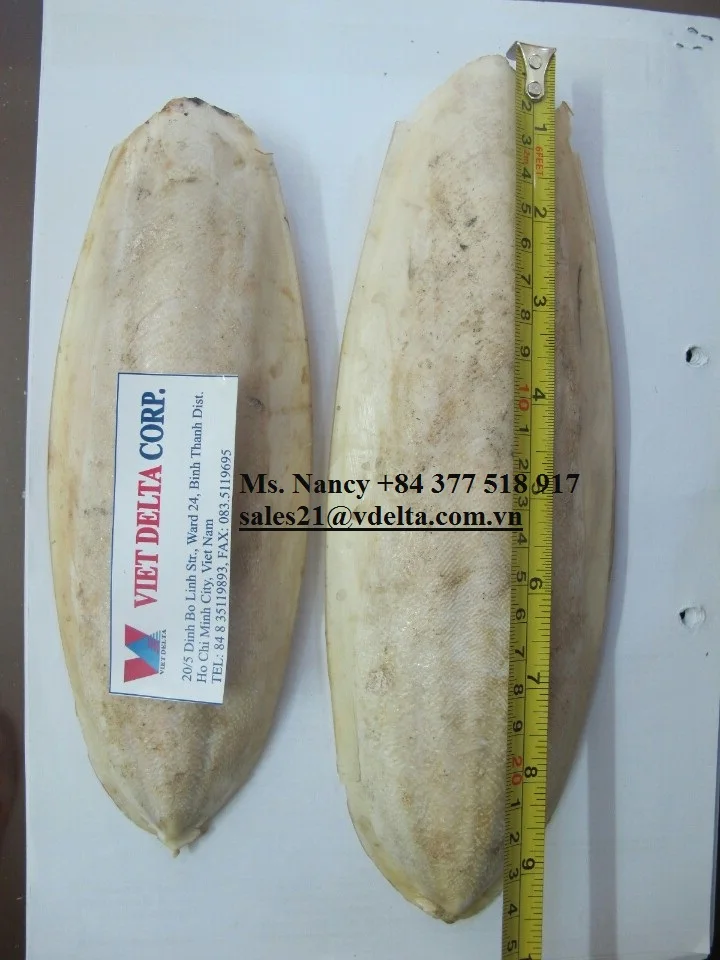 VIETNAM DRIED CUTTELLFISH BONE WITH MANY SIZES/CUTTLEFISH BONE/Ms.Lucy +84929397651