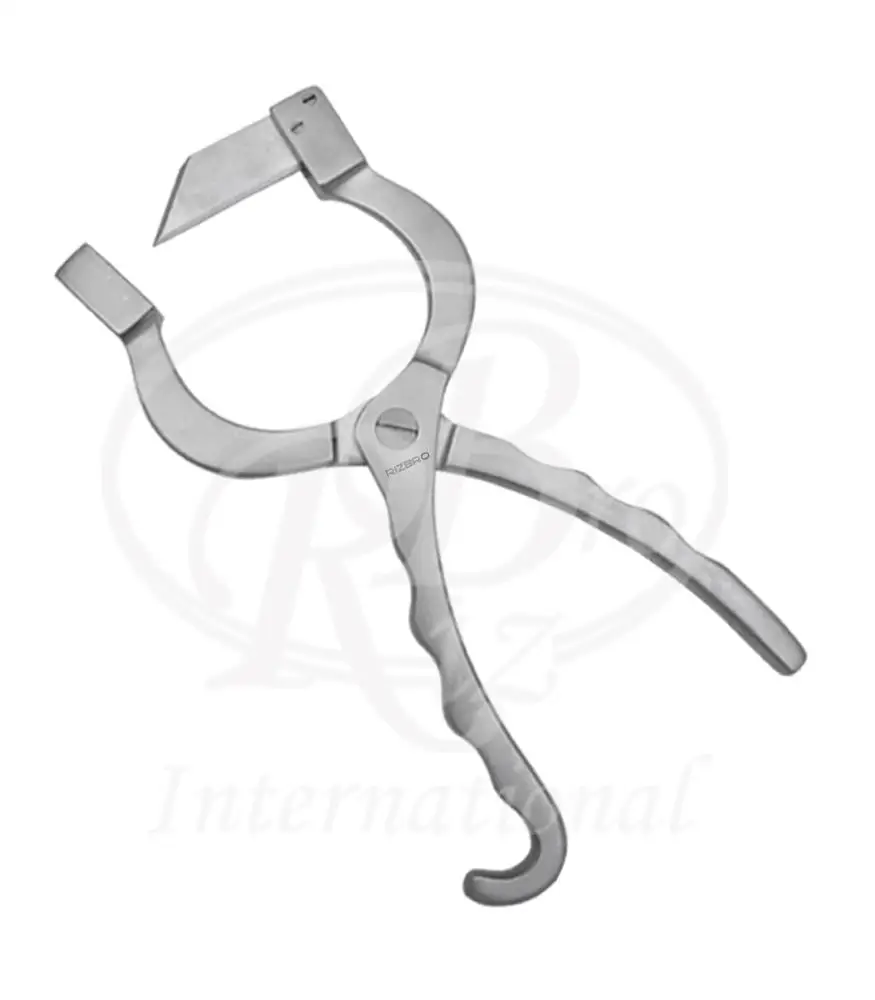 New berry knife stainless steel