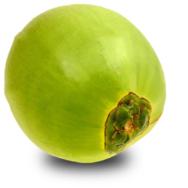 
Young Tender Coconuts 