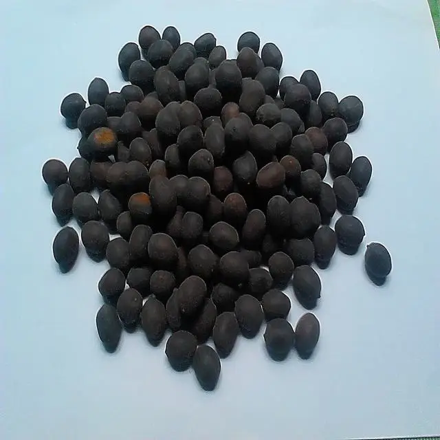 OGARNIC DRIED LOTUS SEED WITH WHITE/BLACK SHEED / LOTUS TEA- Cheapest price 2018 ( whatsapp +84907377828)