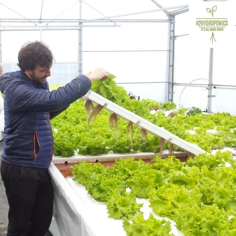 Hybrid hydroponics for vertical garden, farming and aquaponics