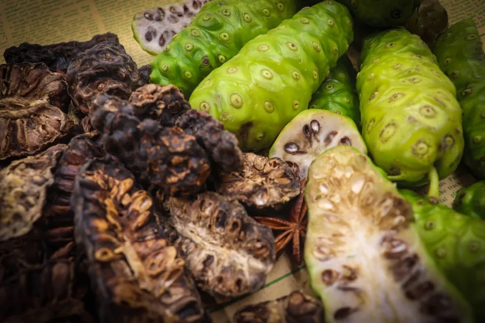 Ноний порошок/Моринда Чистая высокое качество/Лучшая цена