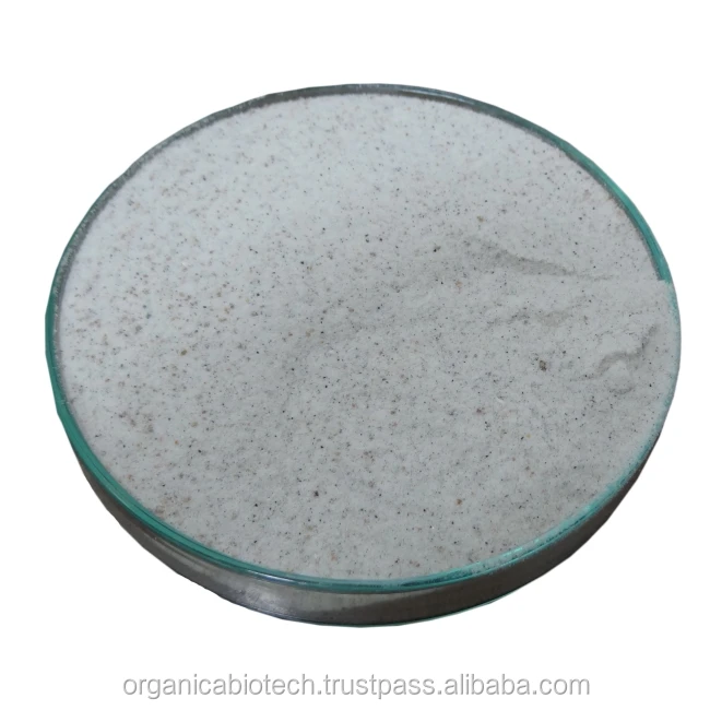 
Plant growth regulator rice fertilizer for beneficial farming 