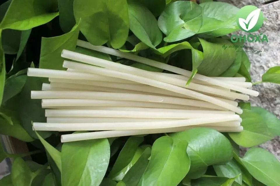 Eco-friendly Rice Straws Made in Vietnam | Good price