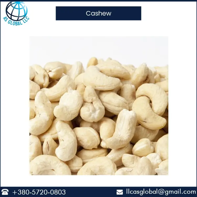 Top Grade Raw Cashew Nuts for Sale