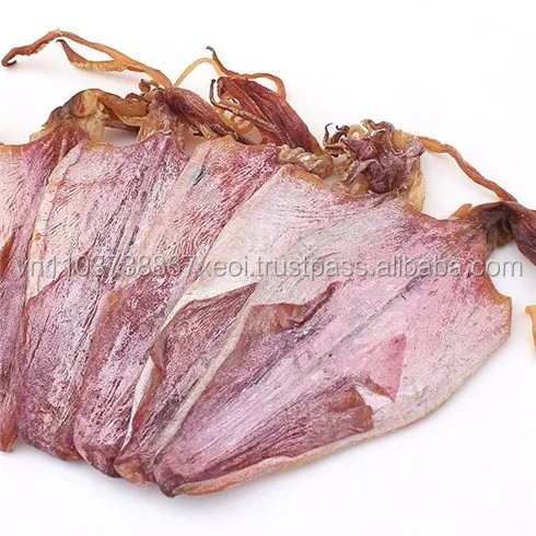 dried squid