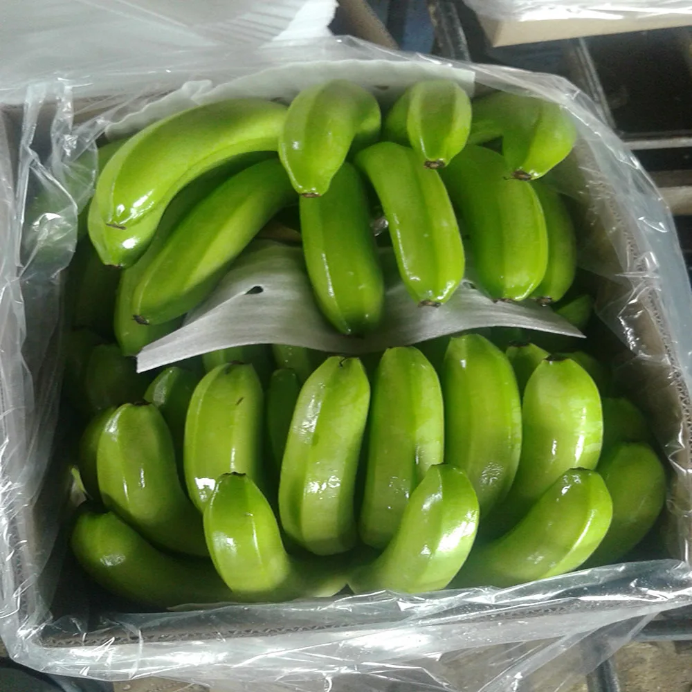 
BANANAS FRESH FRUIT!!!! 