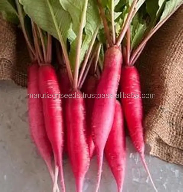 
EXPORT PRICES OF CARROT FOR SOWING FOR Cuba 