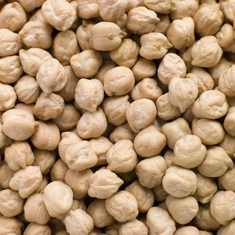 Small Size Chickpeas / Desi Chickpeas 6mm