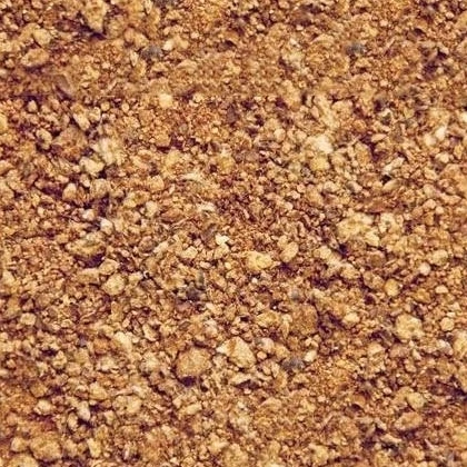 
Cotton Seed soybean meal 