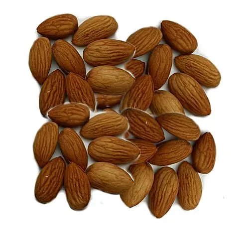 
bitter apricot kernel 99.95% Purity 