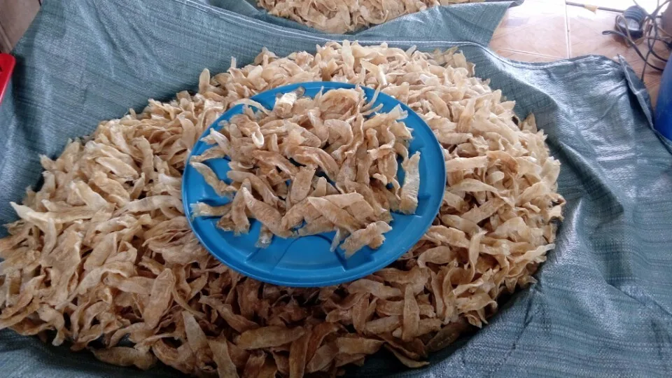 Croaker fish maw / Dried fish bladder