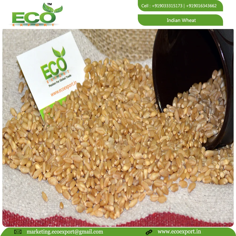 Машина primium для очистки мягкой пшеницы