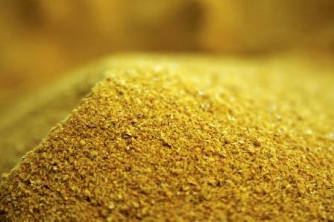 Hot Sale Product DDGS (distillers dried grains with solubles) For Animal Feed With Canada Origin With High Quality