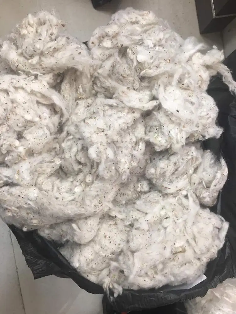
100% COTTON WASTE FOR TEXTILE 