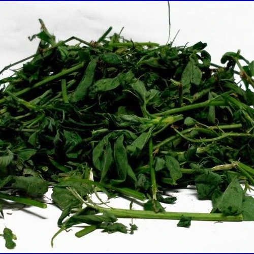 
Alfalfa and Corn Silage 