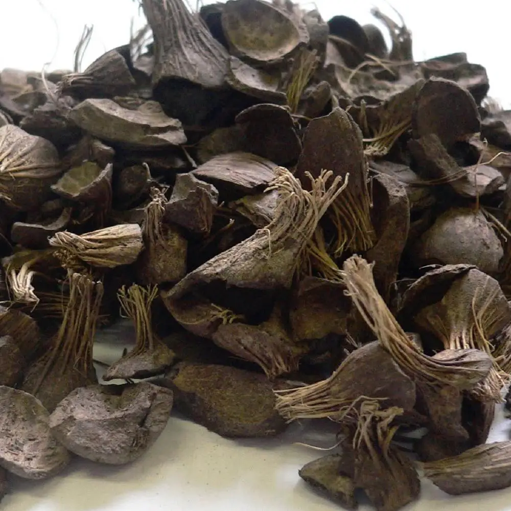 
Palm kernel shell,good quality 