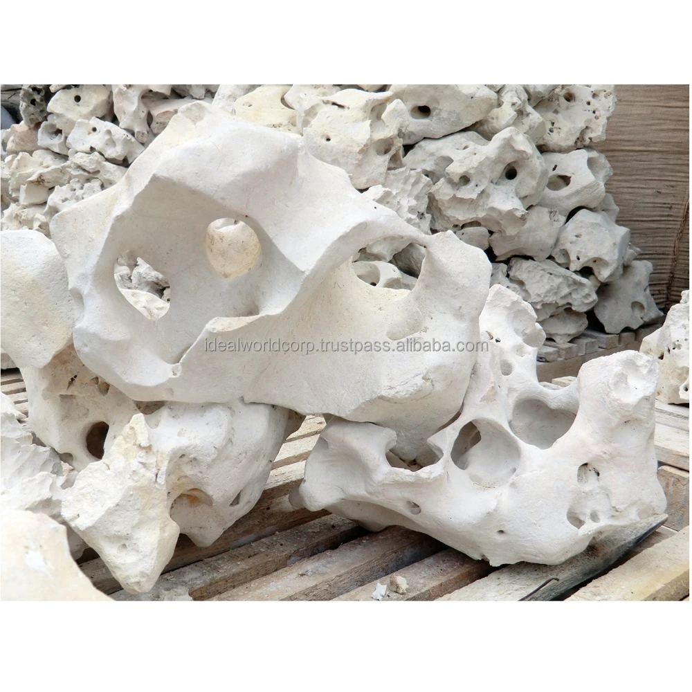 
 HOLEY ROCK  