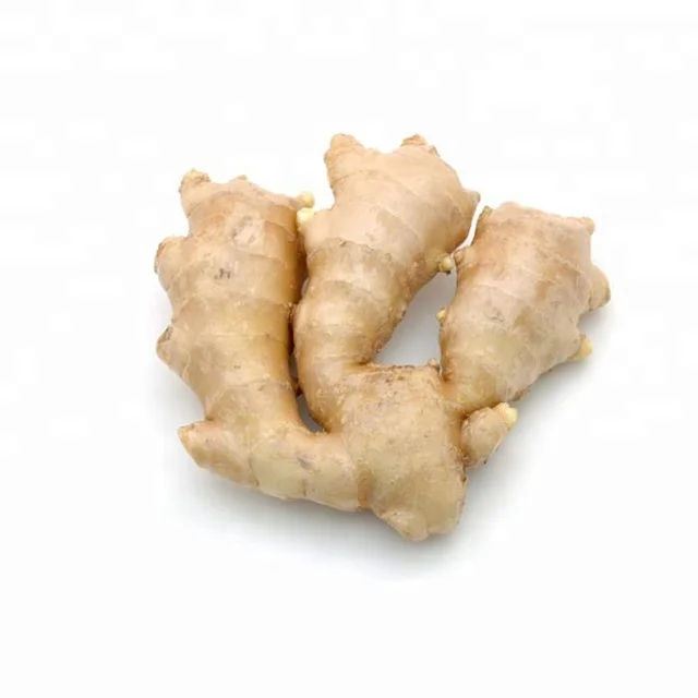 Fresh Ginger / Ginger Price In India / Wholesale Fresh Ginger