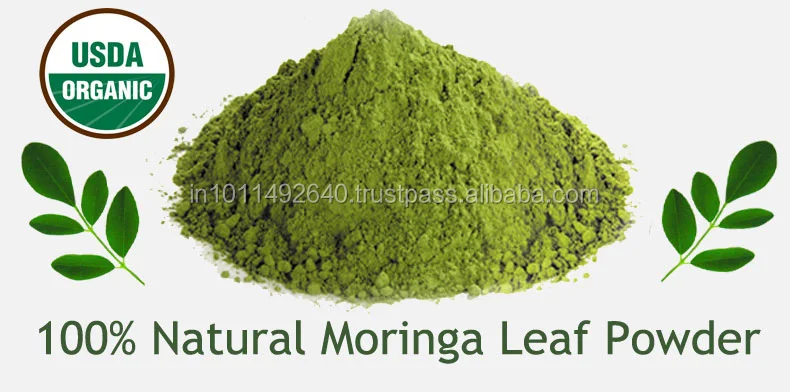 Hot selling Moringa Beverage Nutritional Powdered Moringa Leaf Powder Factory supply Wholesale price Moringa Leaf Extract Powder