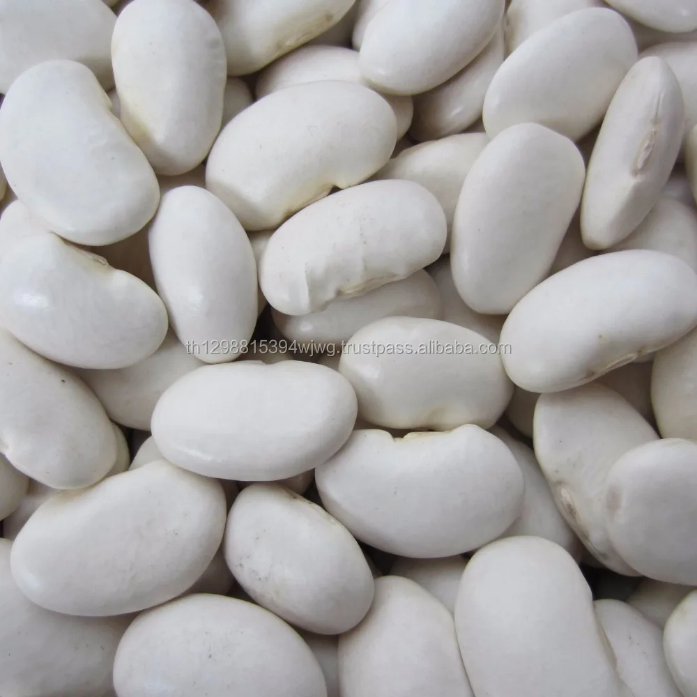 America Round Light Speckled Kidney Bean Red Beans