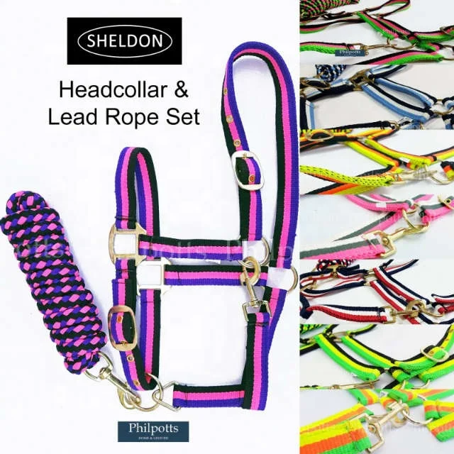 Wholesale High Quality Horse nylon halter 2018  Hot selling Unique Horse nylon halter for horses Pp Tape Nylon Halter