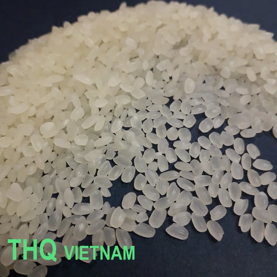 [THQ VN] японский рис/японский рис-оптовая продажа вьетнамского риса