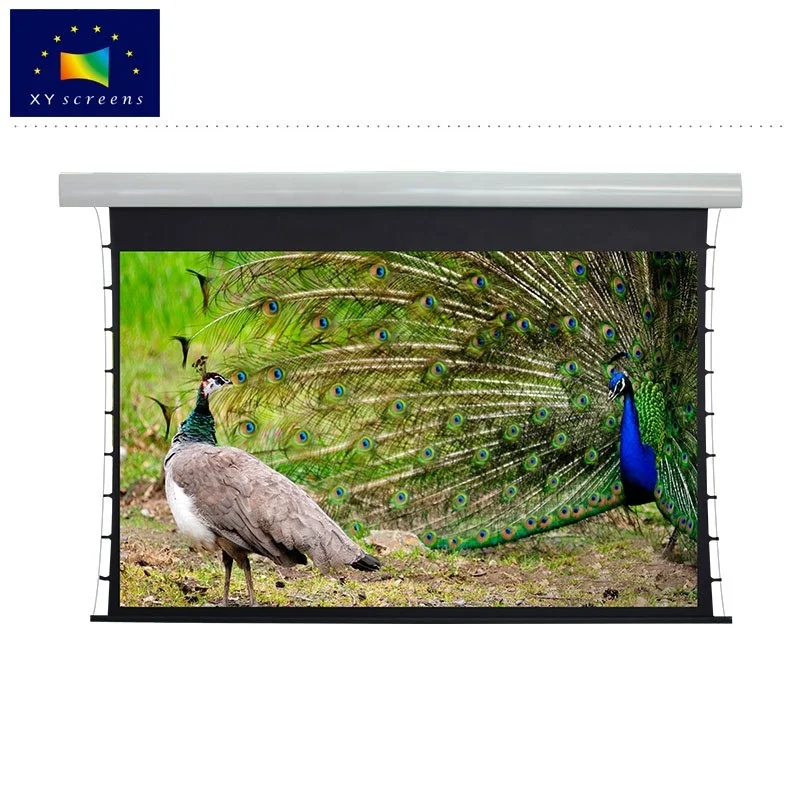 XY Screen Fabric Black Crystal Motorized Projection Screen for Home Theater Projector