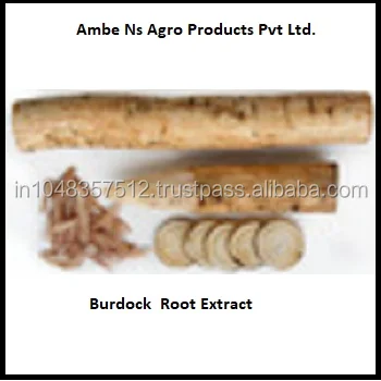 Hot Sale Burdock Root Extract For India Best supplier