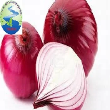 Wholesale fresh onion for sale/ Export fresh onion