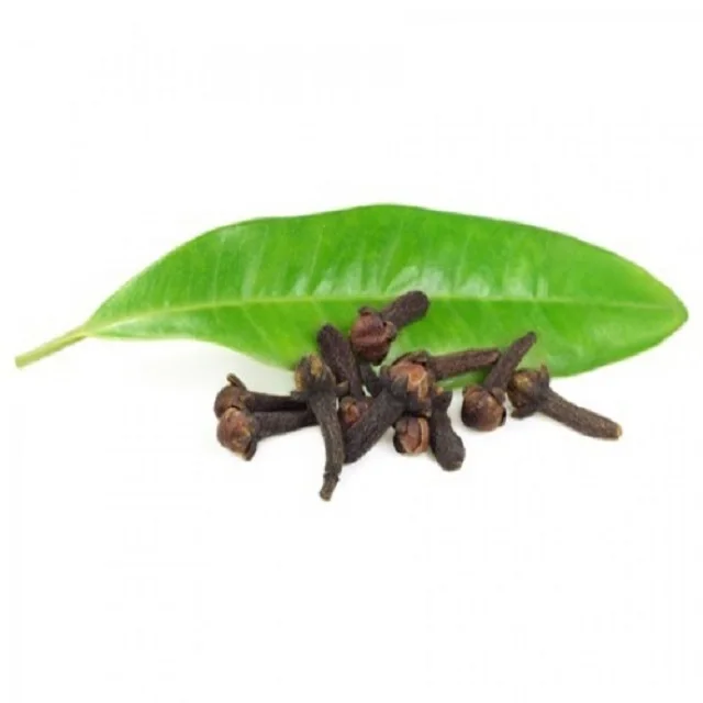 Clove Leaf Essential Oil bulk supplier with High quality at wholesale price for cosmetics perfumery Toiletries industry