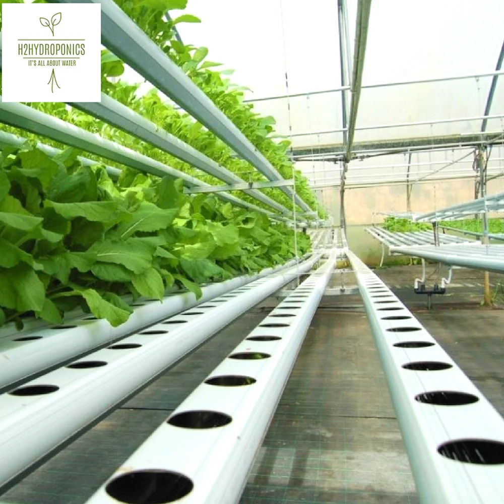 NFT growing system for lettuce,spinach,basil,strawberry, application and NFT gully hydroponic Product for greenhouse