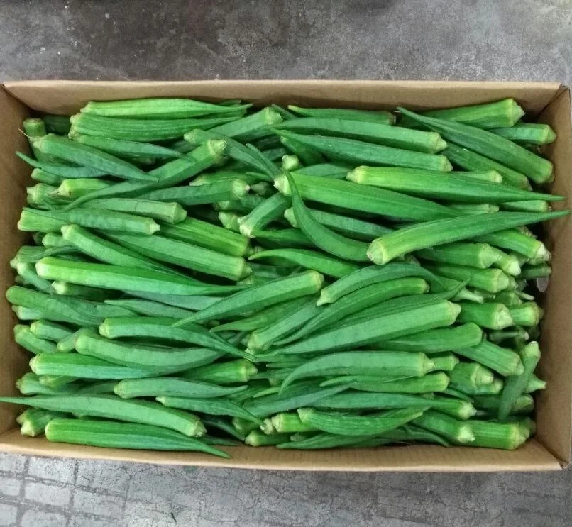 Organic Ladies Finger/Fresh Okra/Fresh Vegetables!
