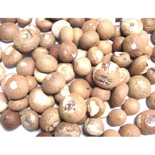 Betel Nuts WHOLE 60-65% good whole, well dried
