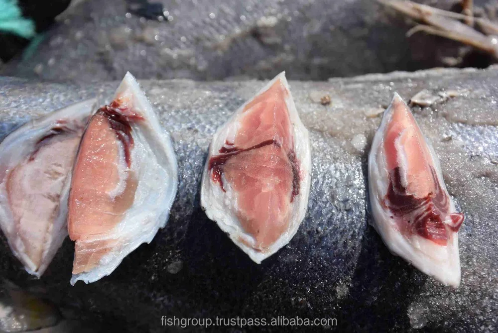 YELLOWFIN TUNA WHOLE ROUND (SEAFROZEN)