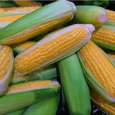High Quality Freeze Dried Yellow Sweet Corn with Low Price