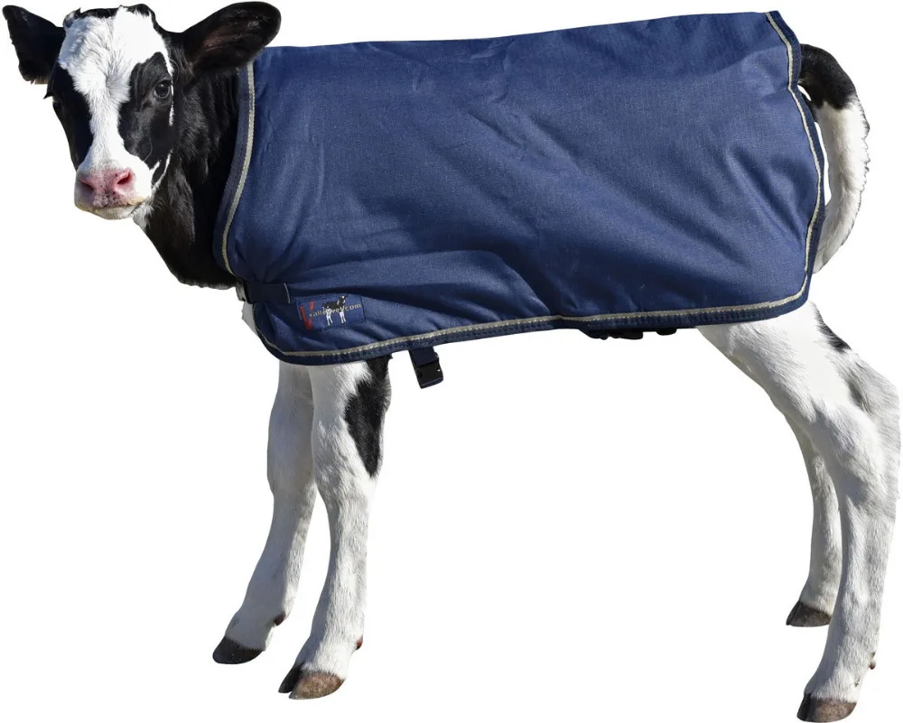NEW BORN CALF WARM COVER BLANKET JACKET MADE OF WATER RESISTANT FABRIC QUILT LINED