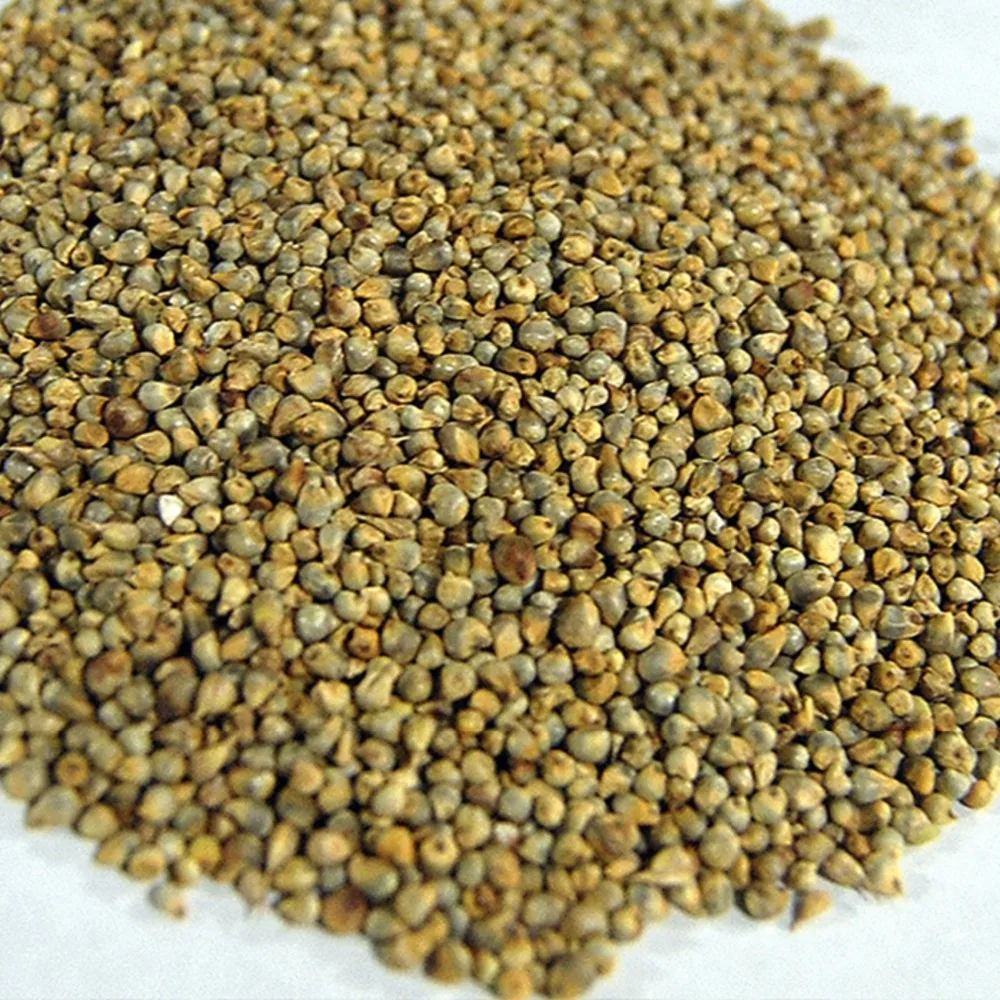 Millets (Human Consumption)
