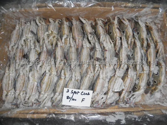 Frozen 3 Spot Crab - Mud Crab - Blue Swimming Crab