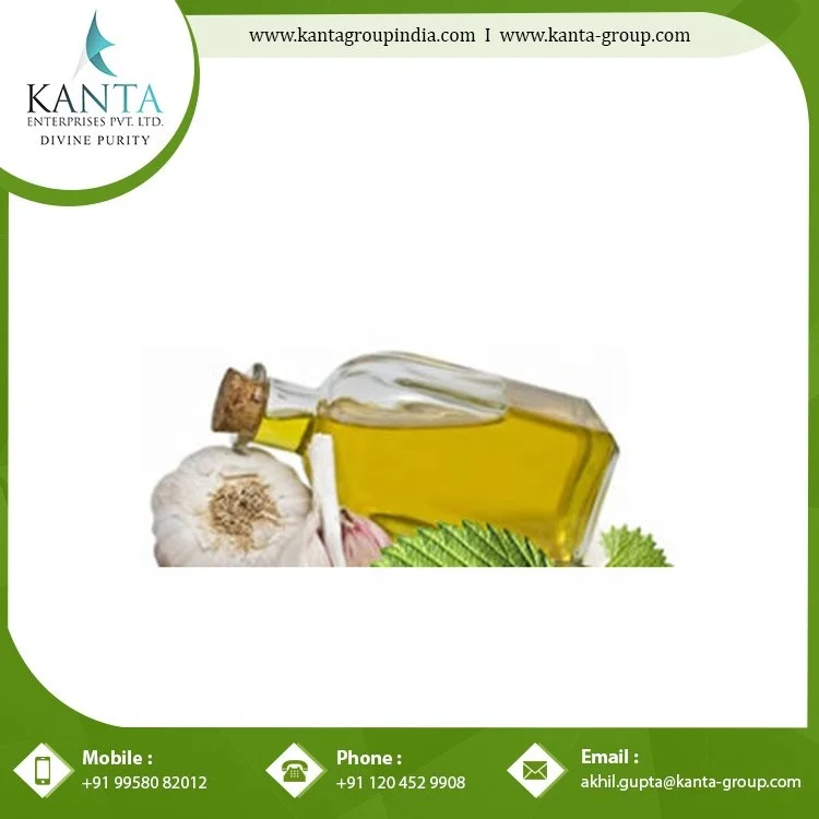 Natural Anti-Oxidant Garlic Essential Oil with Private Label Used for Skin Care low price